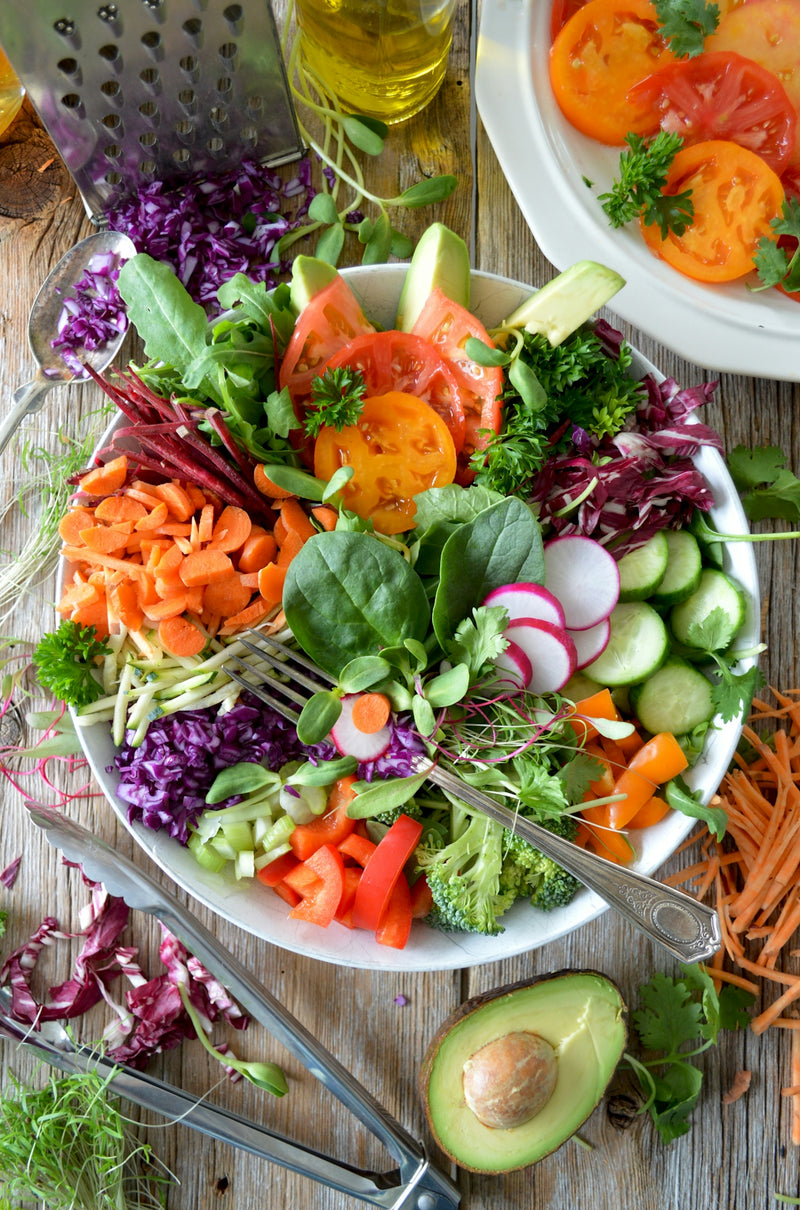 Exploring Lifestyle Enrichment with vSeeBox V6 Max Enhancements
