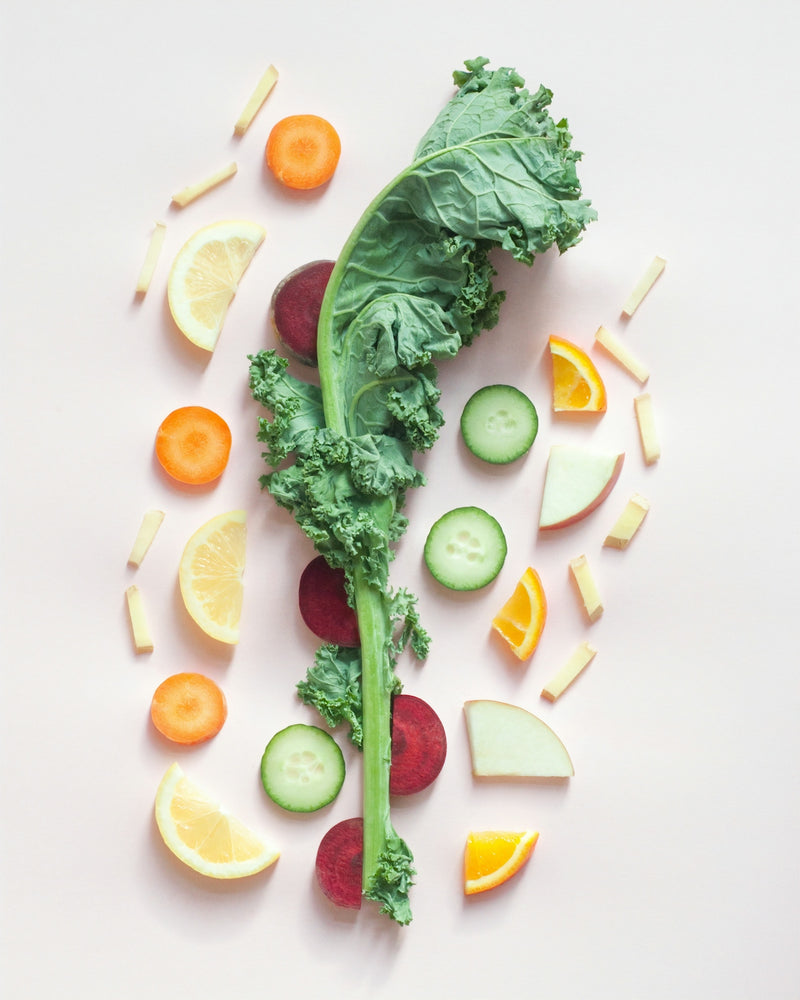 Decoding vSeeBox Versatility for Sustainable Health Practices