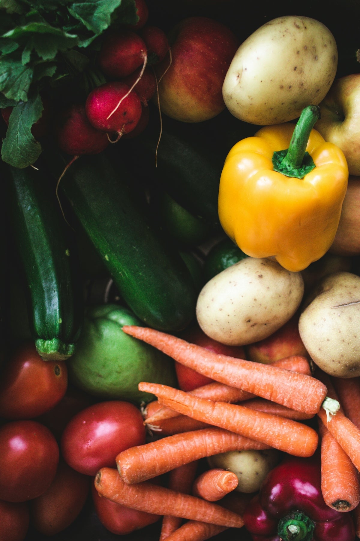 An Insight into Holistic Health Tools: How vSeeBox V5 Pro Transforms Daily Life