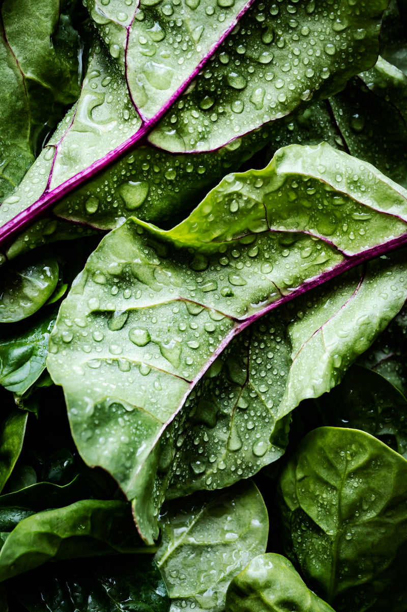 Navigating Healthy Living Simple Hacks with vSeeBox V6 Plus Integration
